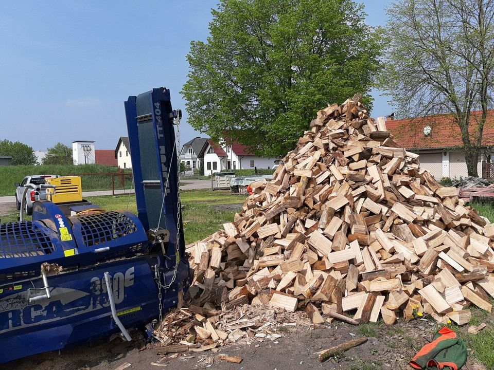 Brennholz - Kaminholz 1,2 Rm Buche  " Vorgelagert " in Schmalkalden