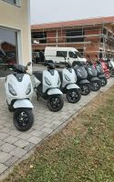 Piaggio One+ (Elektro)  - NEUFAHRZEUG - SOFORT VERFÜGBAR Bayern - Petting Vorschau