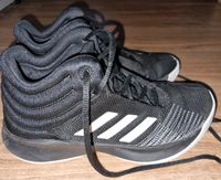 Adidas Basketball Schuhe Turnschuhe Hallenschuhe Gr 38 Rheinland-Pfalz - Cochem an der Mosel Vorschau