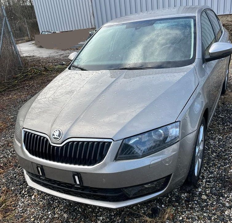 Skoda Octavia 1.6 TDI in Neuötting