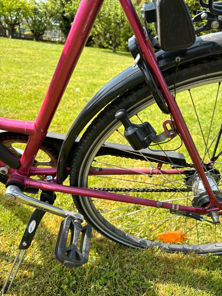 Fahrrad von Herkules mit Pumpe, Korb und Helm in Limburg