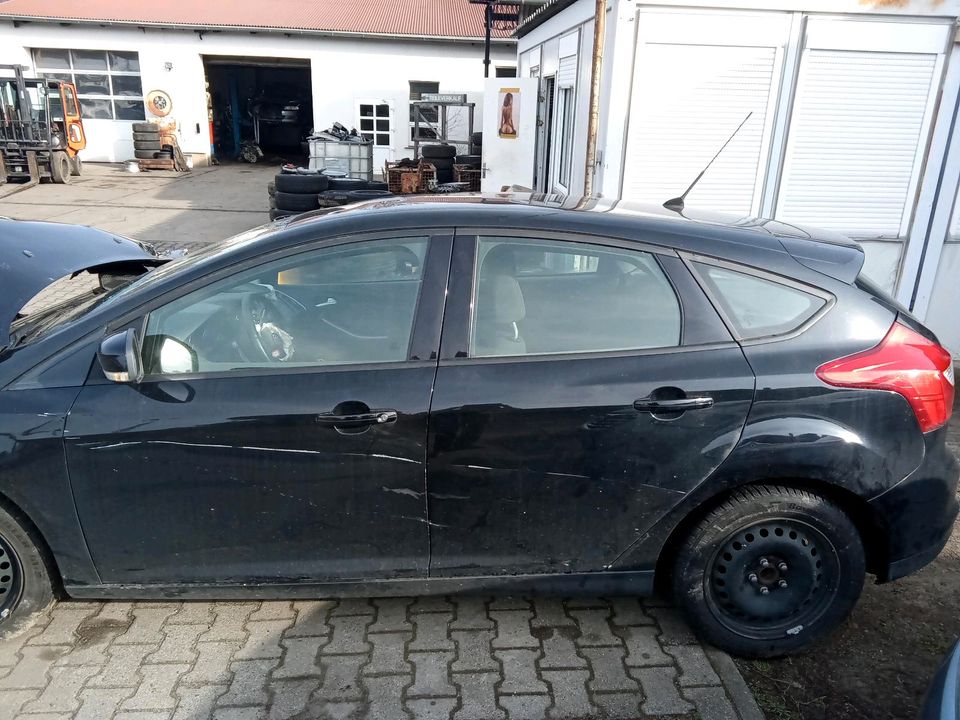 Schlachtfest Ford Focus Mk3 in Jänschwalde Ost