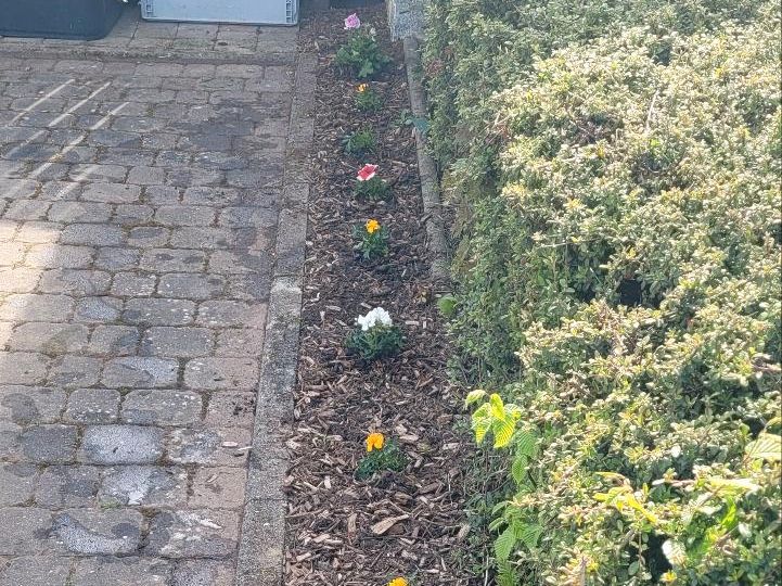 Gartenarbeiten alles rund ums Haus in Sankt Goar