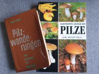 Zwei Pilzbücher" Lexikon über Pilze" vom Karl- Müller Verlag Sachsen - Schneeberg Vorschau