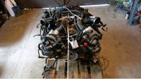 MOTOR NEUE Bmw 4.0 V8 X7 F01 550 750 N63B40A Berlin - Tempelhof Vorschau