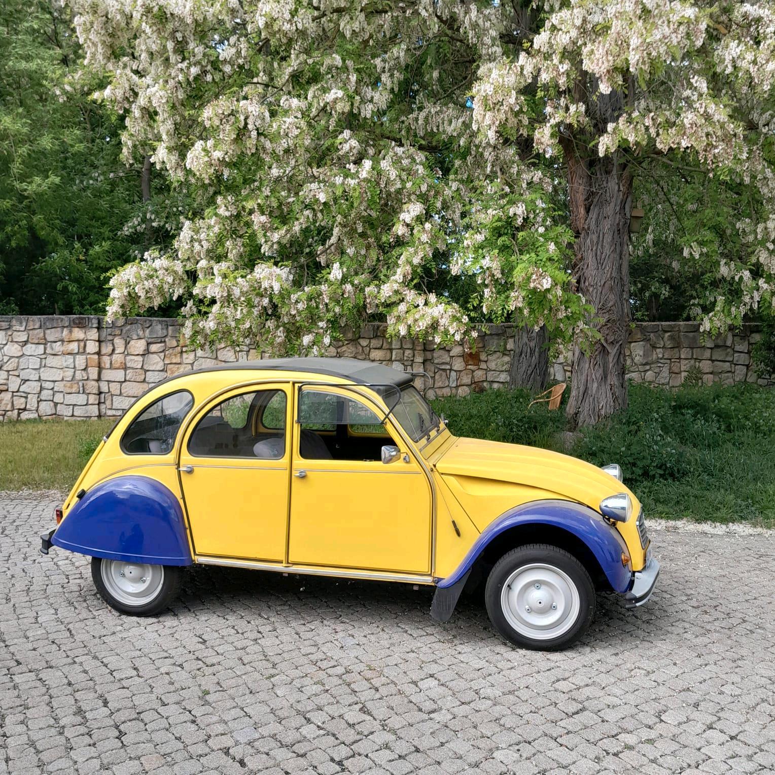 Abbildung des Autos Citroën 2CV Charleston E…