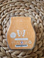 Scentsy Bar Summer Sunshine Hessen - Groß-Bieberau Vorschau