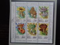 Guinea Bissau Kleinbogen Pilze 846-851 in gestempelt für 0,50€ Nordrhein-Westfalen - Dorsten Vorschau
