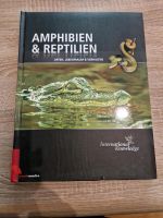 Amphibien und Reptilien Buch Nordrhein-Westfalen - Bergkamen Vorschau