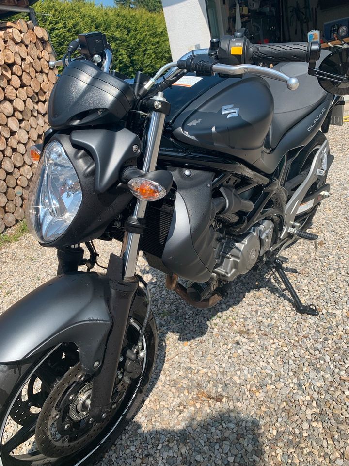 Suzuki Gladius 650 in Egenhofen