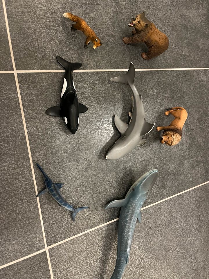 Schleich Tiere Wal, Bär usw. in Hepberg