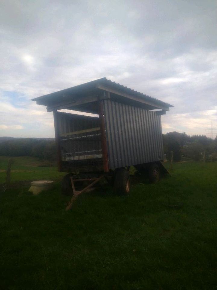 Schafsanhänger, Unterstand, Kaminholzhänger, Hühnermobile, Stall in Remscheid