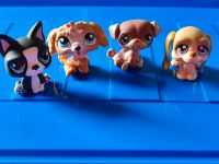 Littlest Pet Shop Hunde LPS 8€ pro Stück Baden-Württemberg - Filderstadt Vorschau