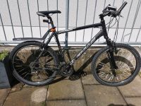 Bulls King Cobra Mountain Bike 26 zoll Rahmenhöhe 58cm Nordrhein-Westfalen - Hagen Vorschau