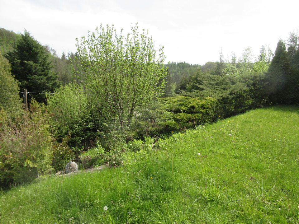 Wochenendbungalow in Braunschwende in Mansfeld