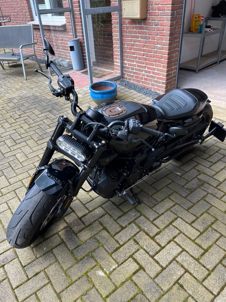 Harley Davidson Sportster S in Neumünster