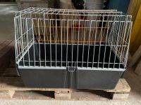 Hundetransportbox Hessen - Wölfersheim Vorschau