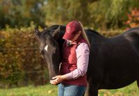 Pferdeosteopathie, Pferdetherapeut, Tierheilpraktiker Nordrhein-Westfalen - Minden Vorschau