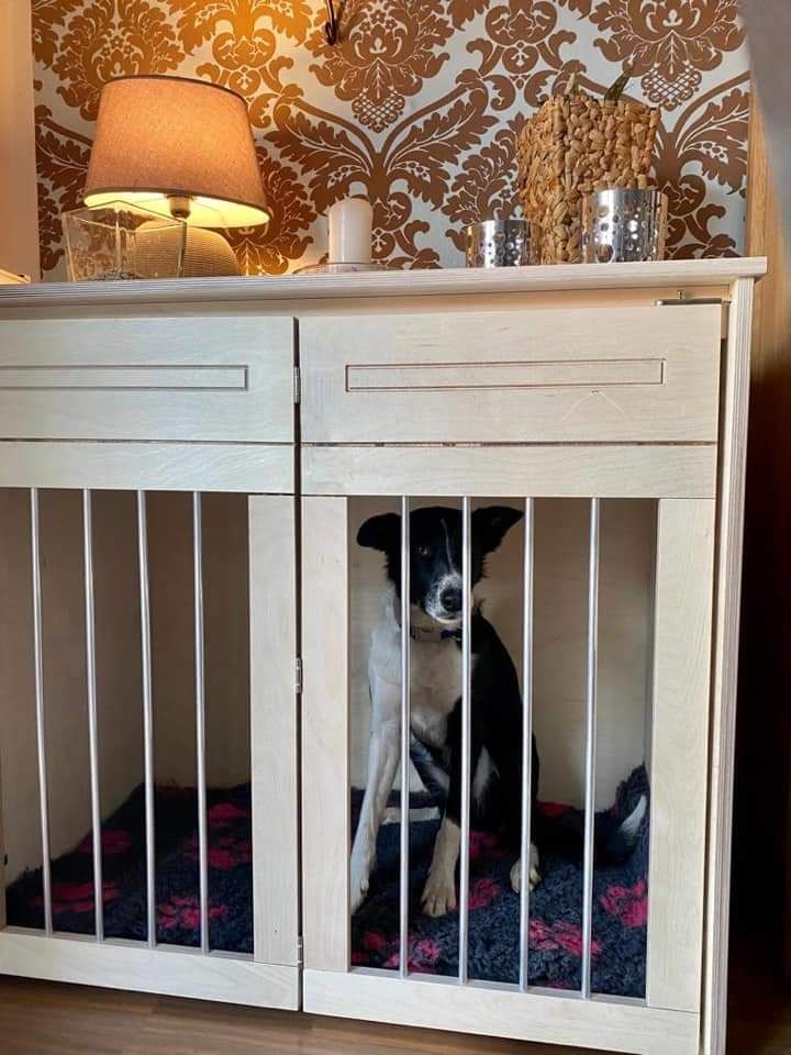 Austellungsstück Hundebox Hundekennel Hundekäfig als Sideboard in Laer