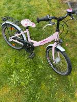 Kinder Fahrrad Noxon Rocky rose matt 20 Zoll mit Beuleuchtung Schleswig-Holstein - Medelby Vorschau