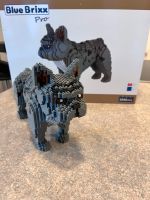 BlueBrixx Französische Bulldogge Lego 2342 teile Bayern - Aschaffenburg Vorschau