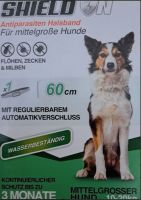 2 x Hundehalsband NEU mittelgrosse Hunde - auch Versand Baden-Württemberg - Freudenstadt Vorschau