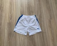 Puma Sporthose kurze Hose Shorts 152 sehr gut Niedersachsen - Bakum Vorschau