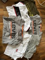 Levi’s Langarm Shirts Jungen Paket 140 Sachsen - Zwickau Vorschau