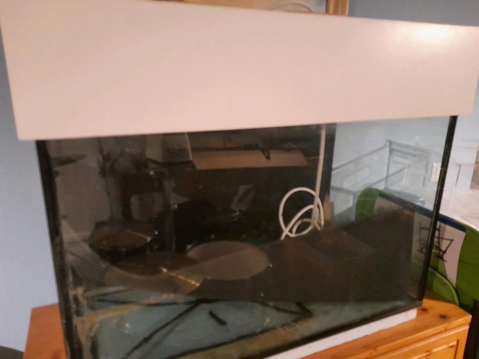 80cm 160l Aquarium in Hemhofen