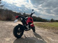 Honda MSX Grom 125 Moped Motorrad Pitbike Minibike B196 Bayern - Wemding Vorschau