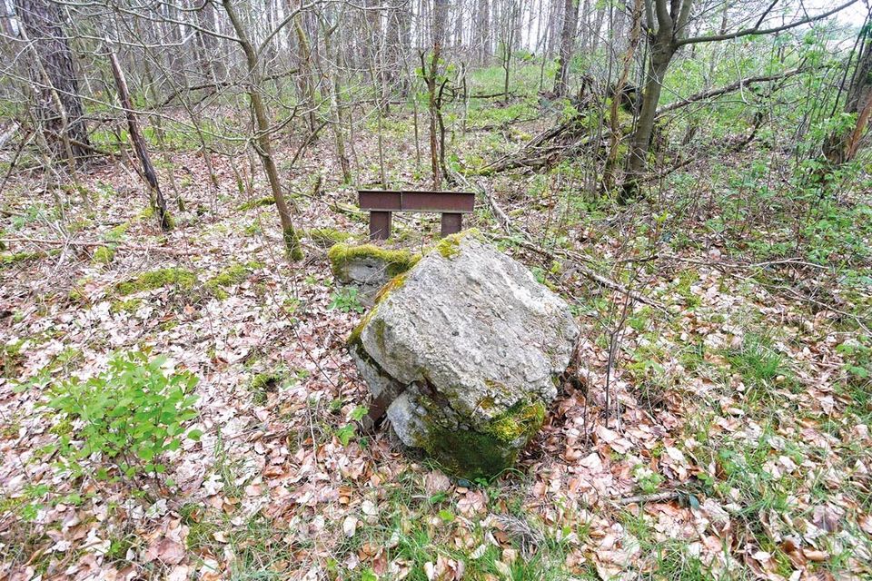 0,7 ha Waldfläche in Wiesenburg/Mark