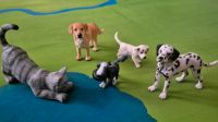 Schleich Bullyland Haustiere 4 Hunde,Katze Leipzig - Leipzig, Zentrum-Ost Vorschau