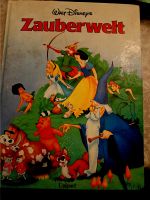 Buch Walt Disney Zauberwelt Bad Doberan - Landkreis - Sanitz Vorschau