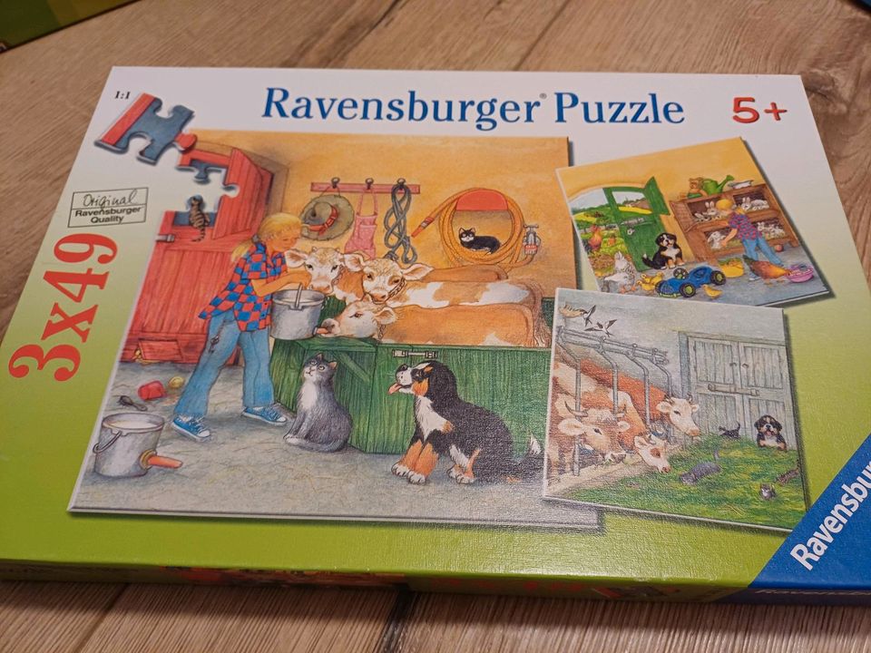 Kinder Puzzle in Bopfingen