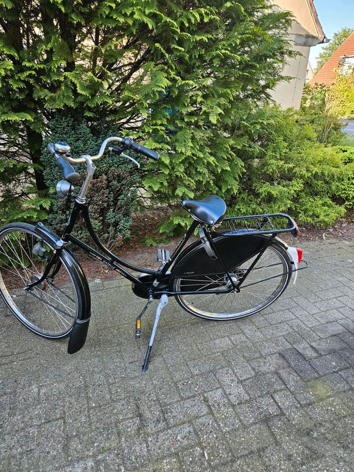 Gazelle Fahrrad Damenrad Populair Hollandrad in Rheine