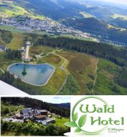 ⭐️ Wald Hotel Willingen ➡️ Commis  (m/w/x), 34508 Hessen - Willingen (Upland) Vorschau
