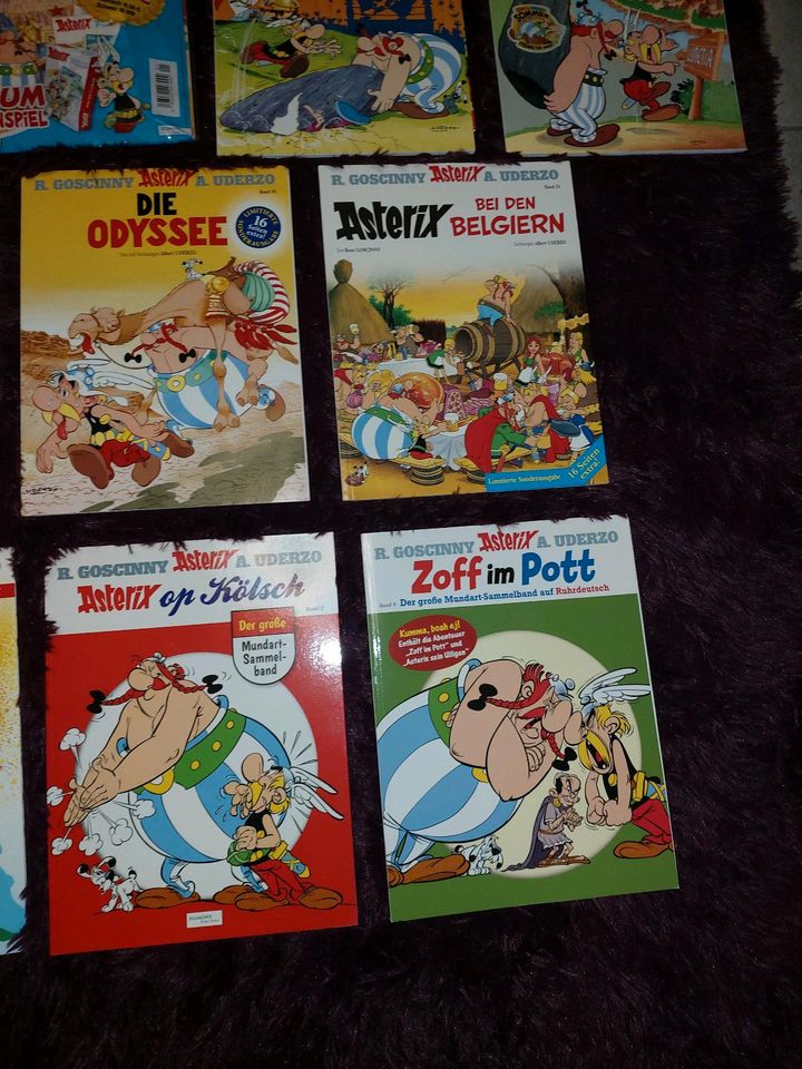 Asterix und Obelix Comics Sonderausgaben in Wegberg