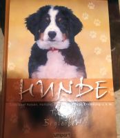 Hunde Bücher Thüringen - Masserberg Vorschau