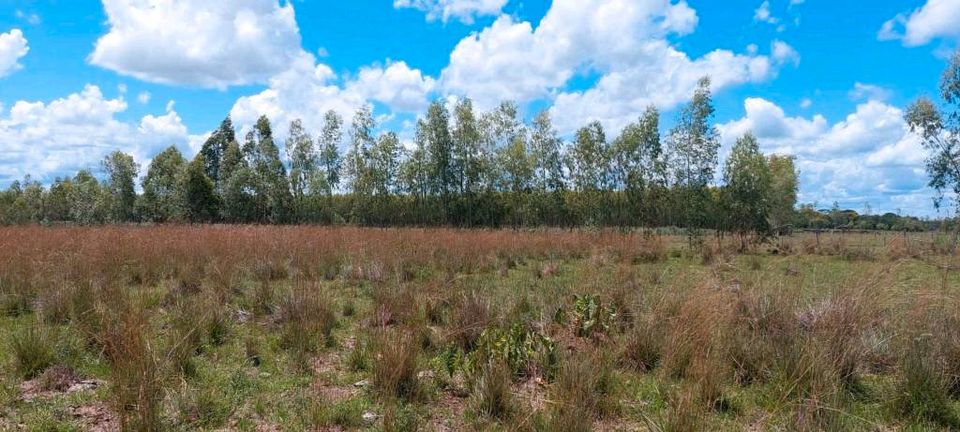 Grundstück mit 10,75 Hektar in Yatayty del Guaira Paraguay in Burkhardtsdorf