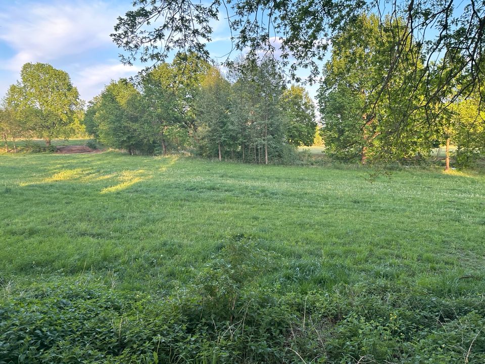 Offenstall Platz frei Stute / Wallach in Grünheide (Mark)