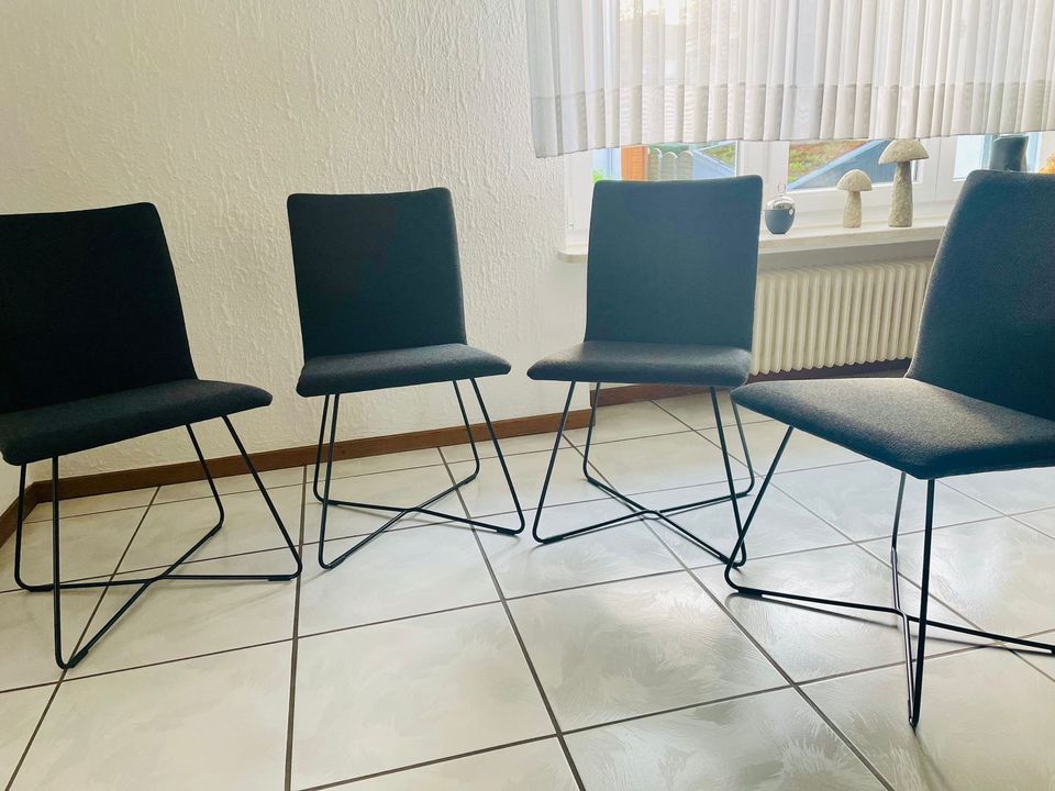 Designerstühle Mondo Diamo für das Esszimmer in Remscheid