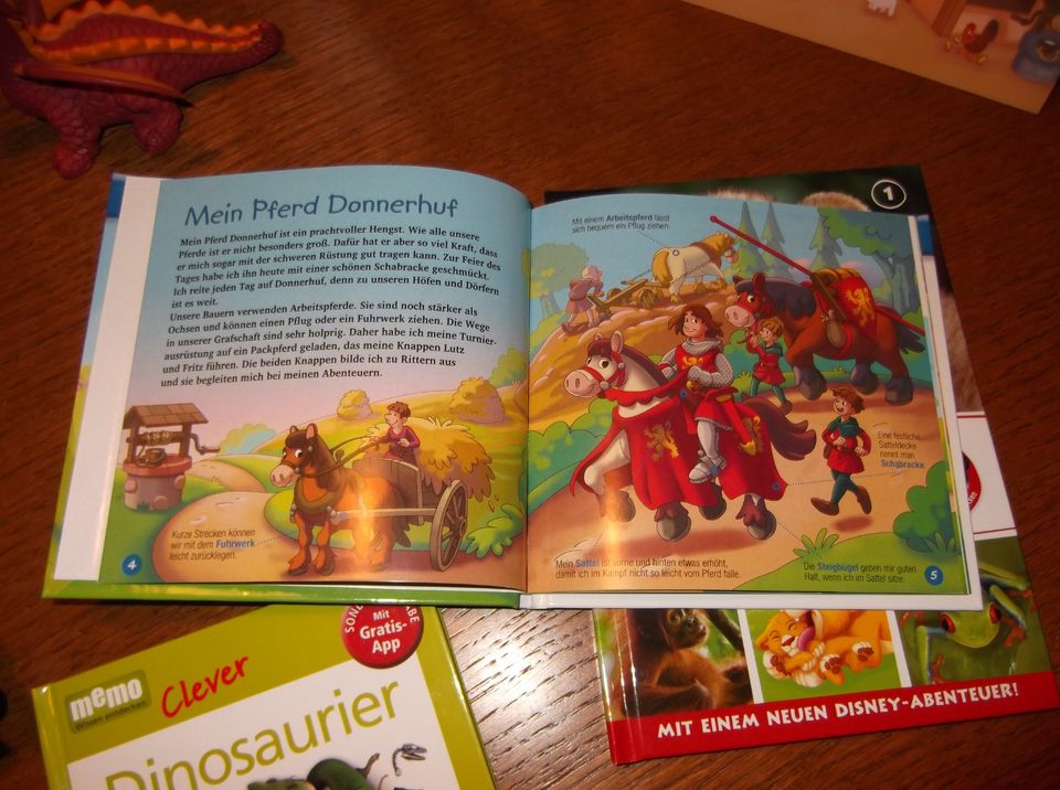 Kinder Spielfiguren Bücher Lernkarten Ritter Drachen Schaf Box in Großlöbichau