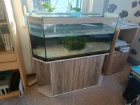 Aquarium ca.300L mit Unterschrank Hessen - Lohra Vorschau