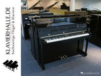 Klangvolles Euterpe (Bechstein) Klavier, 120, schwarz poliert Nordrhein-Westfalen - Altenberge Vorschau