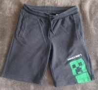 Minecraft Short Hose 140 Baden-Württemberg - Waldkirch Vorschau