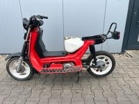 Simson SR50 SR 50 4-Gang 1989 S51 Motor Moped Roller Mofa K38 Sachsen-Anhalt - Osterweddingen Vorschau