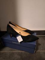 Neu Ovp Caprice Suede Pumps Leder  39  Uk 6 schwarz Rheinland-Pfalz - Pirmasens Vorschau