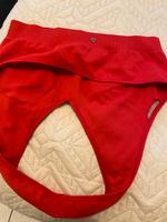 Stylische Damen Shorts & sportlicher Seamless Slip – neuwertig Rheinland-Pfalz - Jockgrim Vorschau