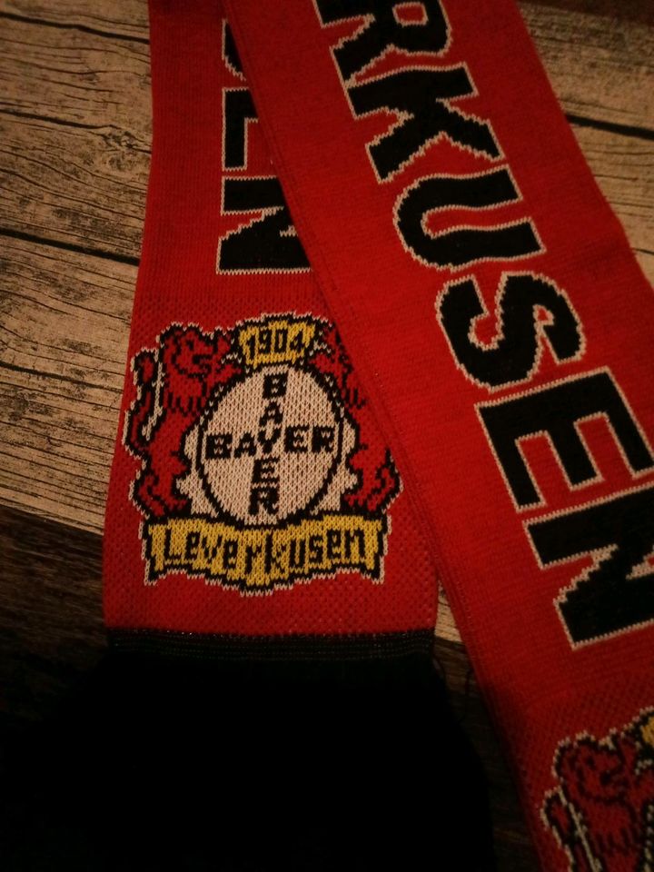 Fanschal Bayer 04 Leverkusen Neu Deutscher Meister 2024 in Dillingen (Saar)