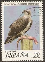 Spanien 3450 ° Seltene Tiere - Fischadler - Greifvögel Raubvögel Nordrhein-Westfalen - Kamen Vorschau